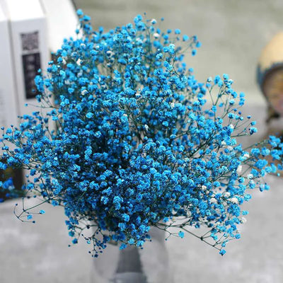 Natural Fresh Dried Preserved Flowers Gypsophila Paniculata Baby Breath Flower Bouquets Gift For Wedding Party Home Dekoration