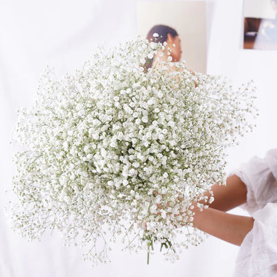 Bouquet de fleurs séchées naturelles fraîches et préservées Gypsophila paniculata Baby Breath, cadeau pour fête de mariage, décoration de la maison