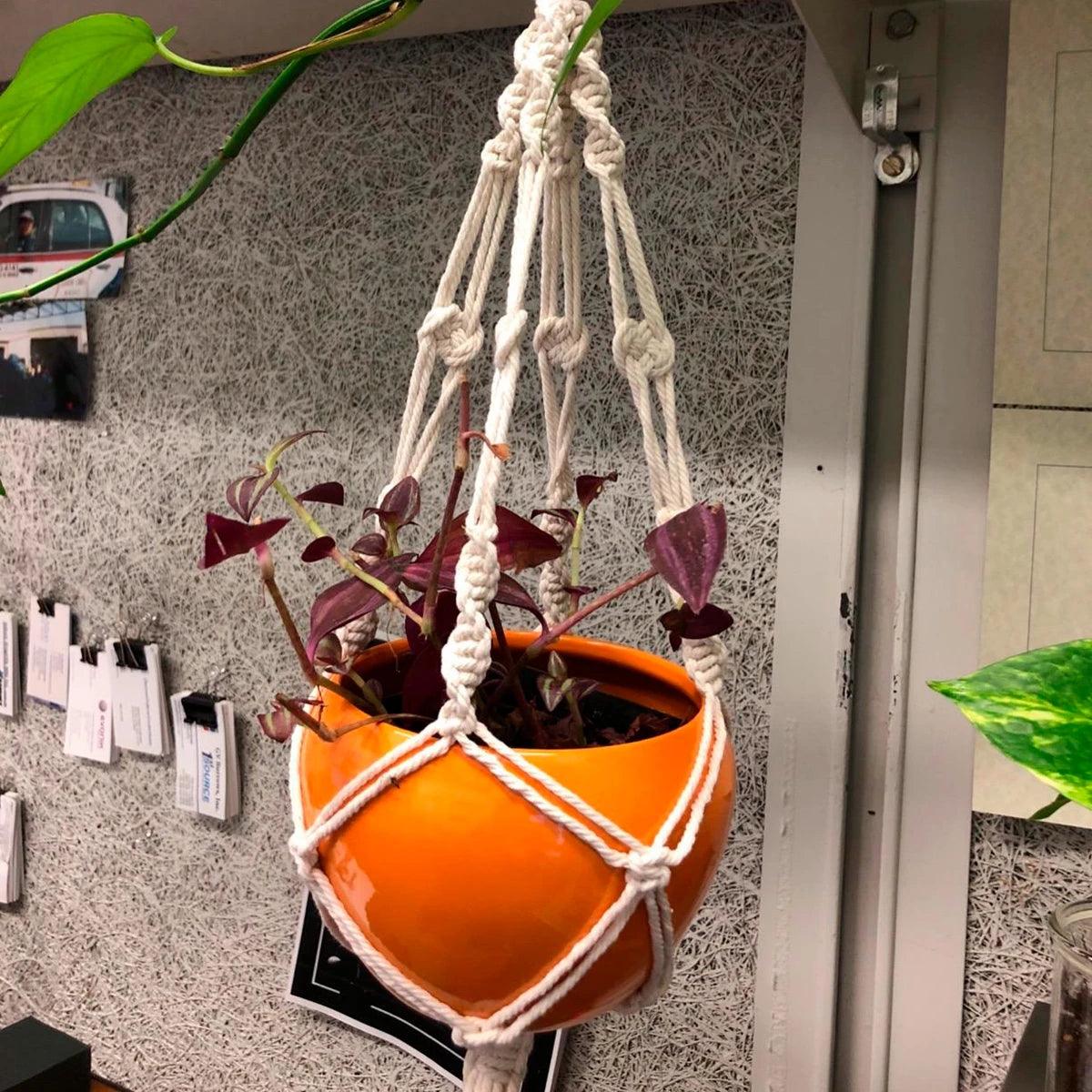 Hanging Plant Handmade Macrame: The Durable Materials and Sturdy Construction Ensure that your Plants will be Safe and Secure.