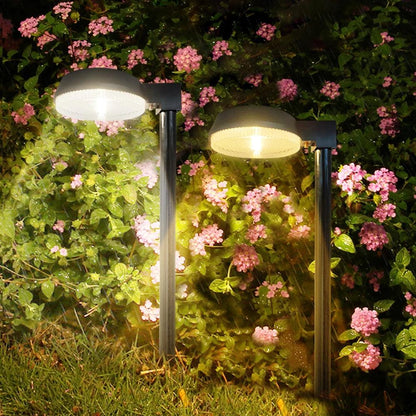 Solar Pathway Lights: Warm, Welcoming Outdoor Glow