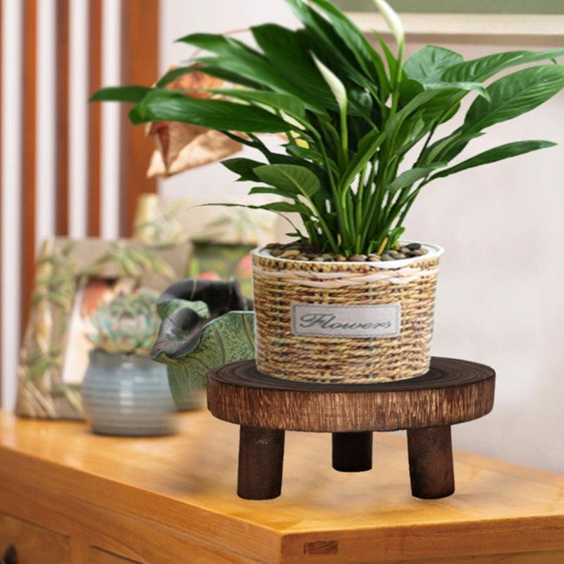 RusticRoot Support - Decorative and Durable Flower Pot Stand, with a Robust and Elegant Design.