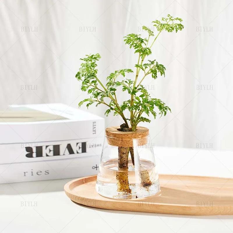 Glass Vase Hydroponic: Perfect for Small Plants