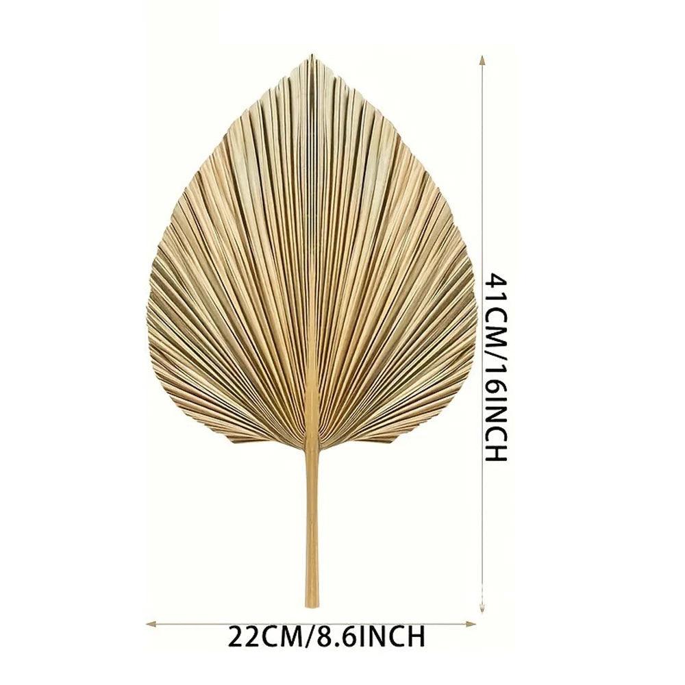 Decorative Dried Palm Leaves