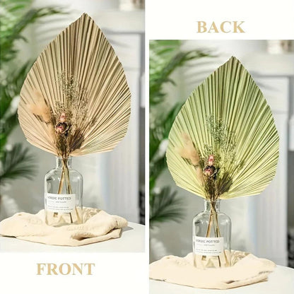 Decorative Dried Palm Leaves