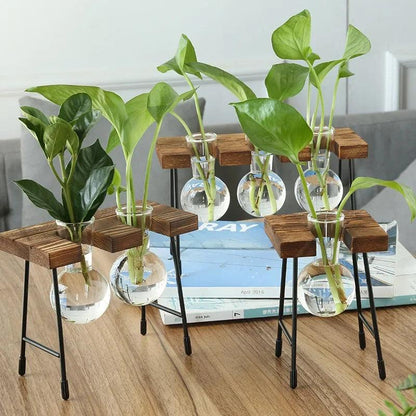 Contemporary Glass Vase for Home Decor -  "Your Private Garden: Create a Green Oasis in Any Space."