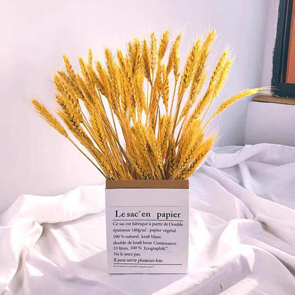 Dried Wheat Grass for Home Decor