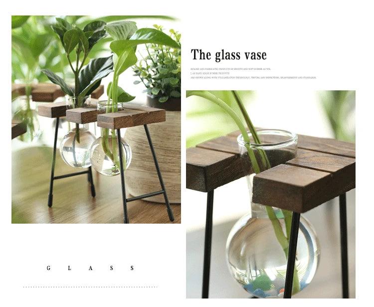 Contemporary Glass Vase for Home Decor -  "Your Private Garden: Create a Green Oasis in Any Space."