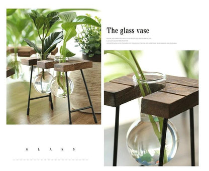 Contemporary Glass Vase for Home Decor -  "Your Private Garden: Create a Green Oasis in Any Space."