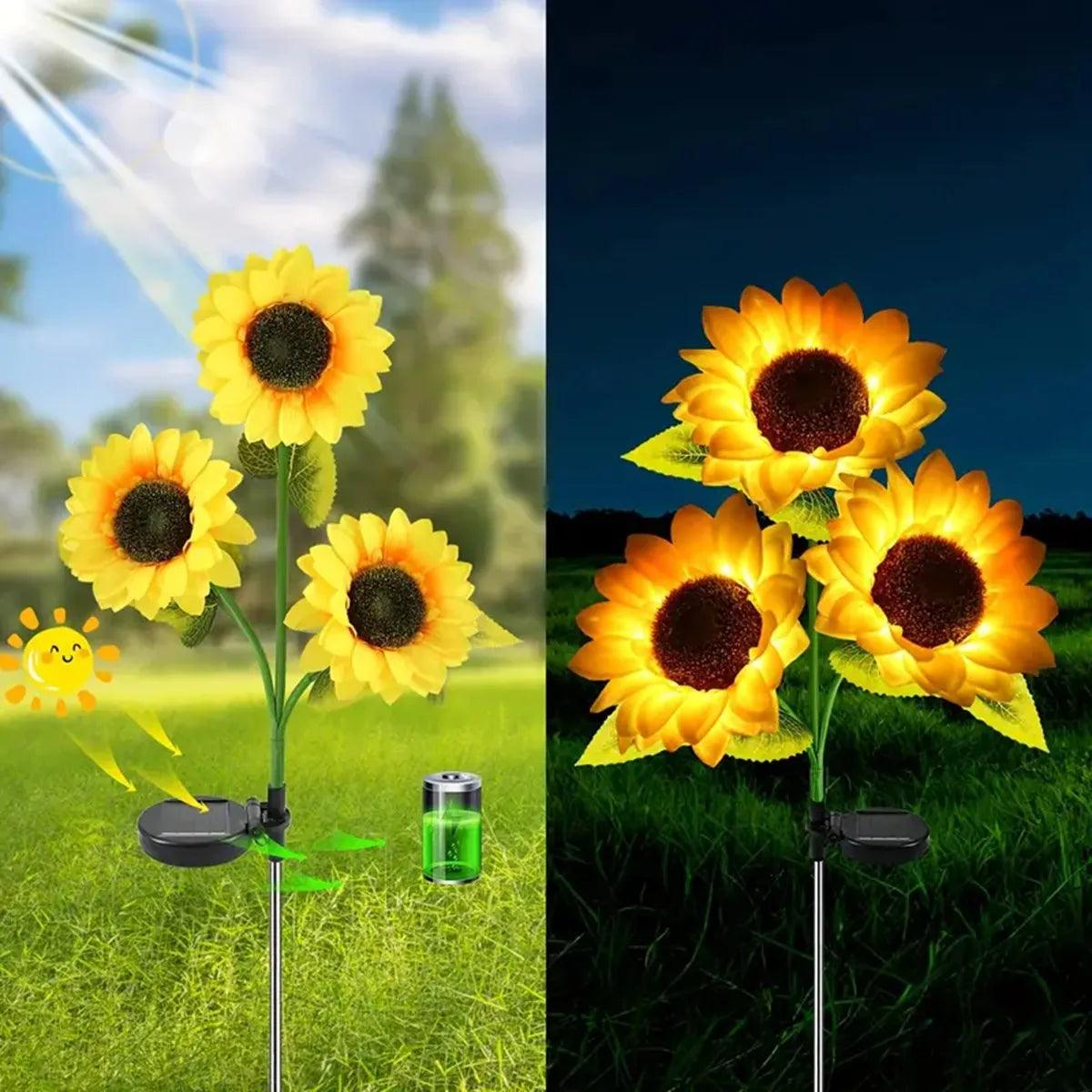 Solar Sunflower Garden: Bring the Beauty of Summer Home