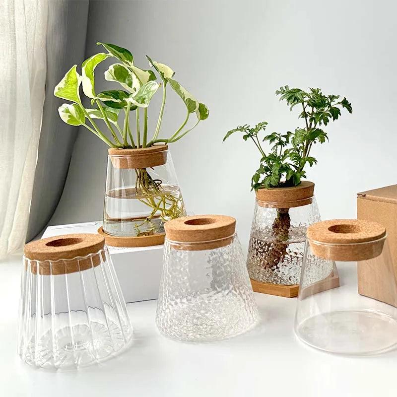 Glass Vase Hydroponic: Perfect for Small Plants