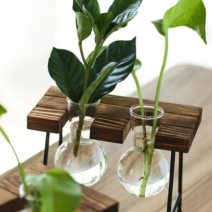 Contemporary Glass Vase for Home Decor -  "Your Private Garden: Create a Green Oasis in Any Space."