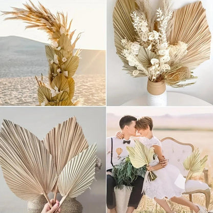 Decorative Dried Palm Leaves