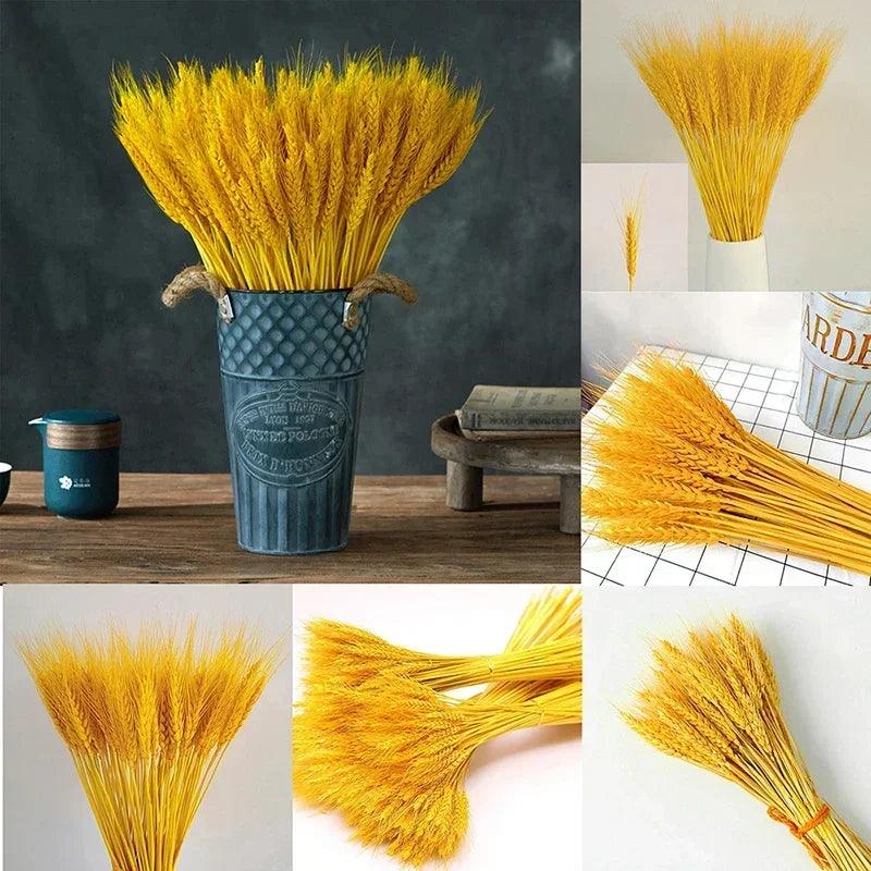 Dried Wheat Grass for Home Decor