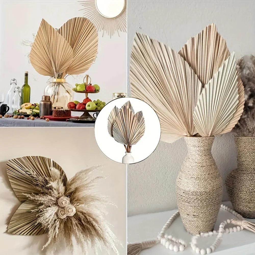 Decorative Dried Palm Leaves