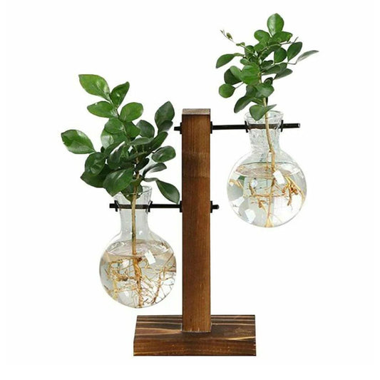 Modern Minimalist Plant Terrarium - Bring Nature Indoors with This Rustic Terrarium