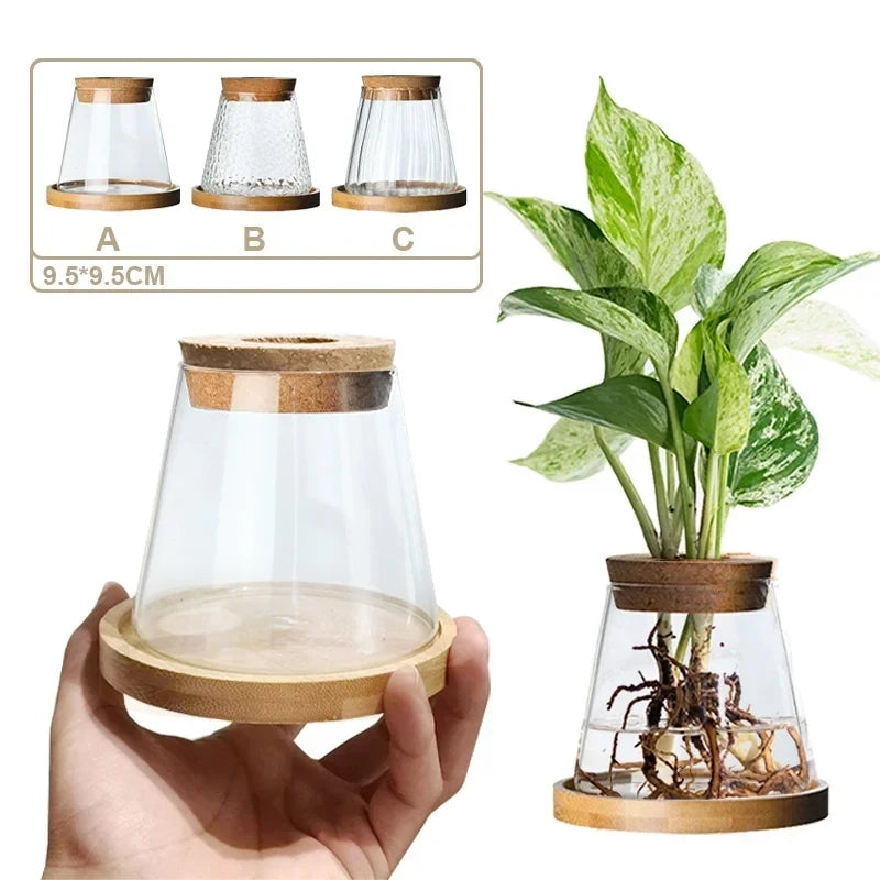 Nordic Simple Transparent Glass Vases Home Decorative Hydroponic Plant Vase Creative Tabletop Ornament Flower Arrangement Bottle