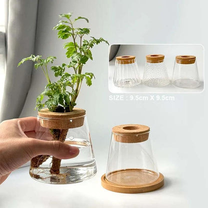 Glass Vase Hydroponic: Perfect for Small Plants