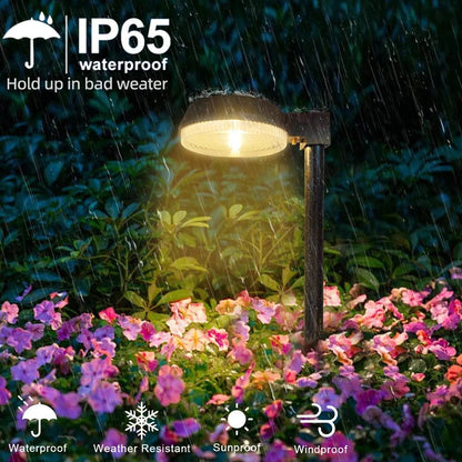 Solar Pathway Lights: Warm, Welcoming Outdoor Glow