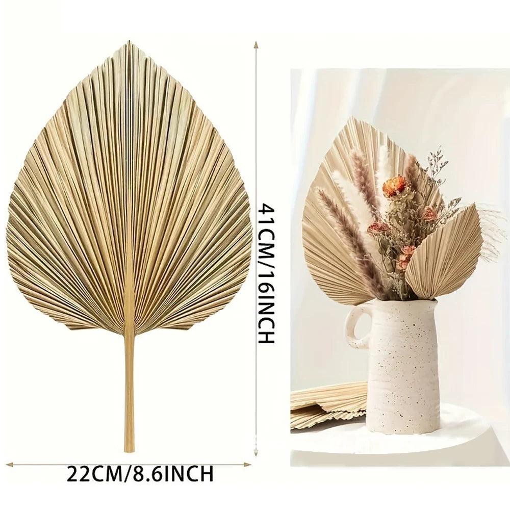 Decorative Dried Palm Leaves