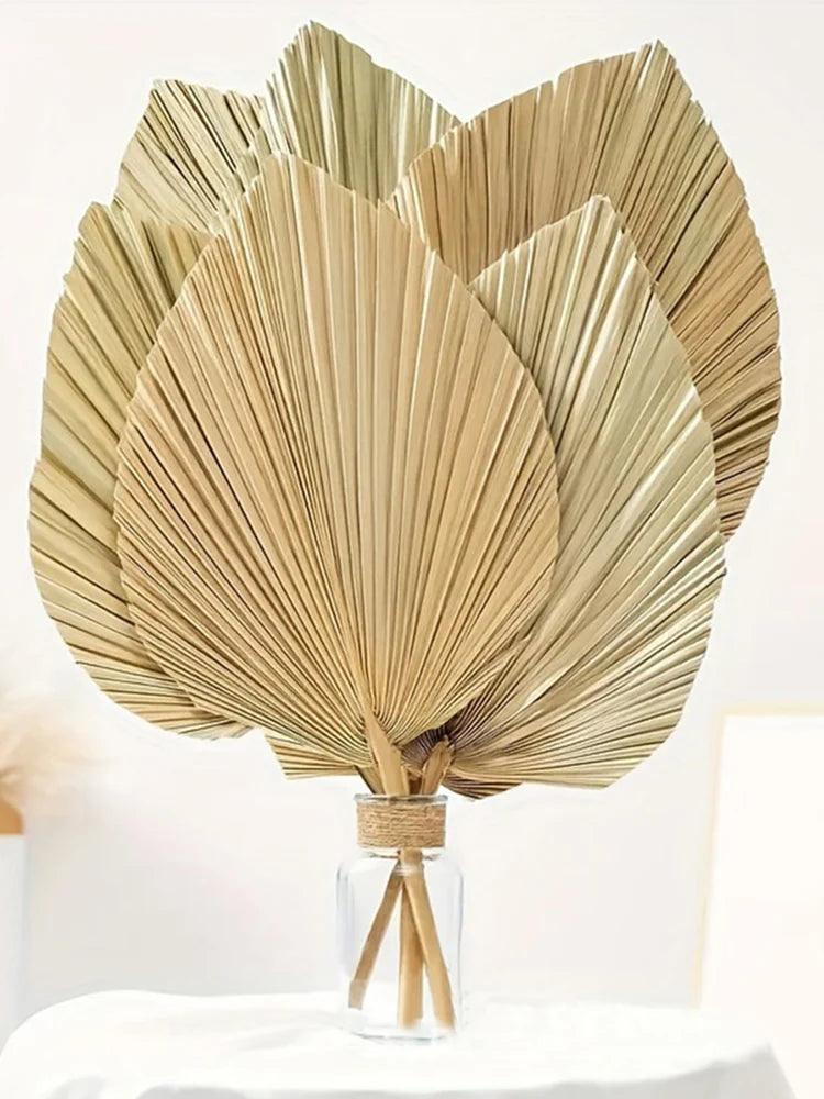 Decorative Dried Palm Leaves