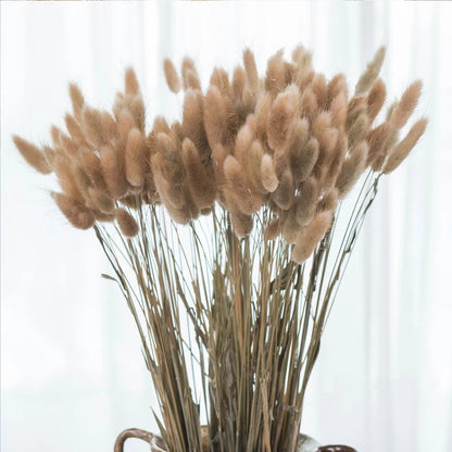 50/100 Pcs Real Natural Dried Wheat Ear Bunny Tail Grass Flowers Decor Boho Fall Dried Flowers Home DIY Craft Bouquet Decoration