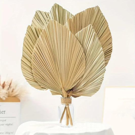 Decorative Dried Palm Leaves