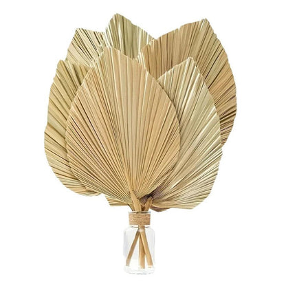 Decorative Dried Palm Leaves