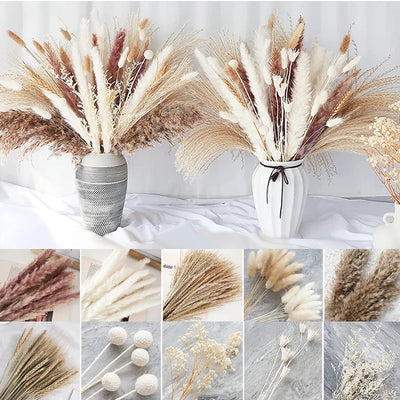 Natural Dried Pampas Grass Bouquet Home Decoration Thanksgiving Autumn Harvest Wedding Flower Arrangement Party Decoration Boho