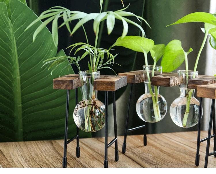 Contemporary Glass Vase for Home Decor -  "Your Private Garden: Create a Green Oasis in Any Space."